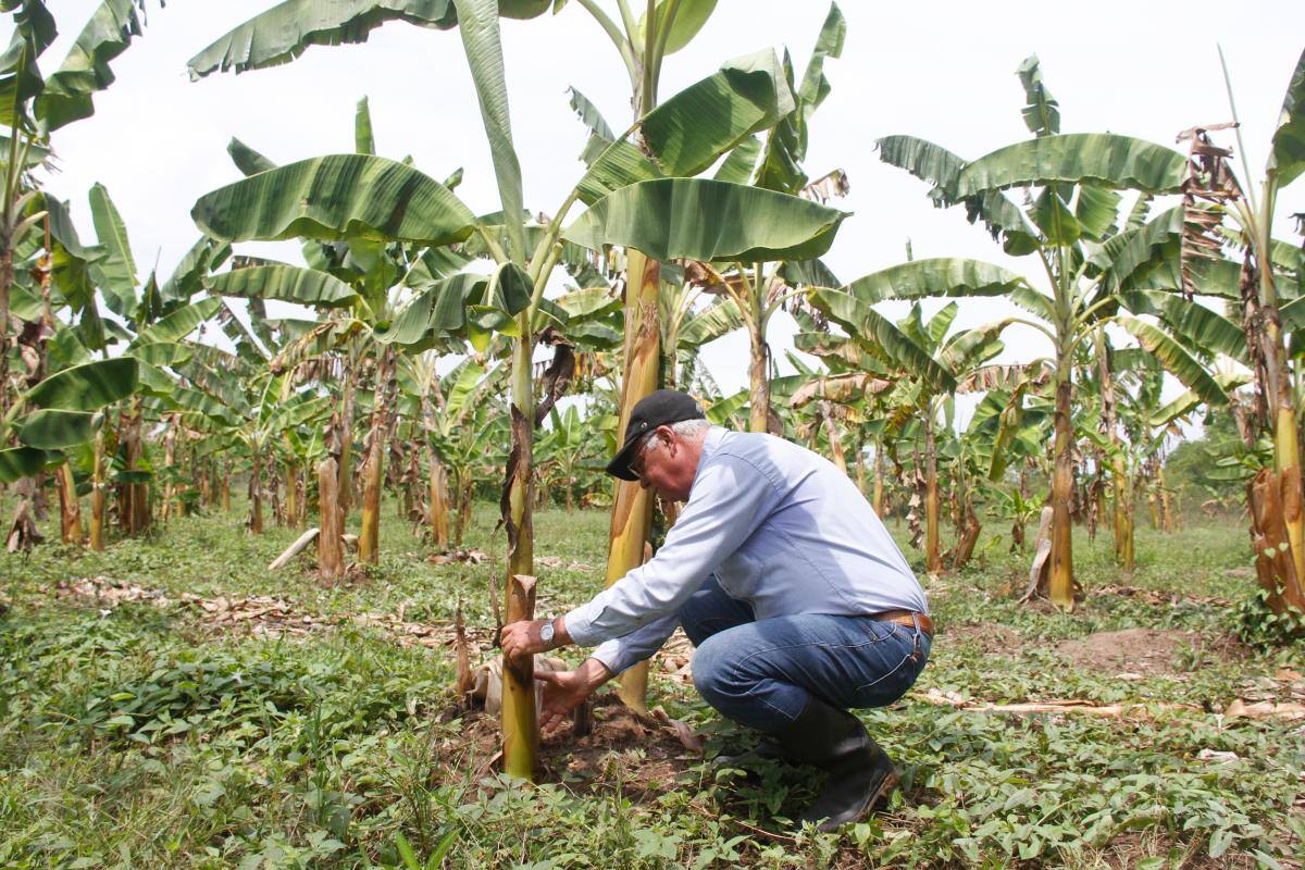 Presupuesto de la Agencia de Desarrollo Rural para el 2023 se triplicará