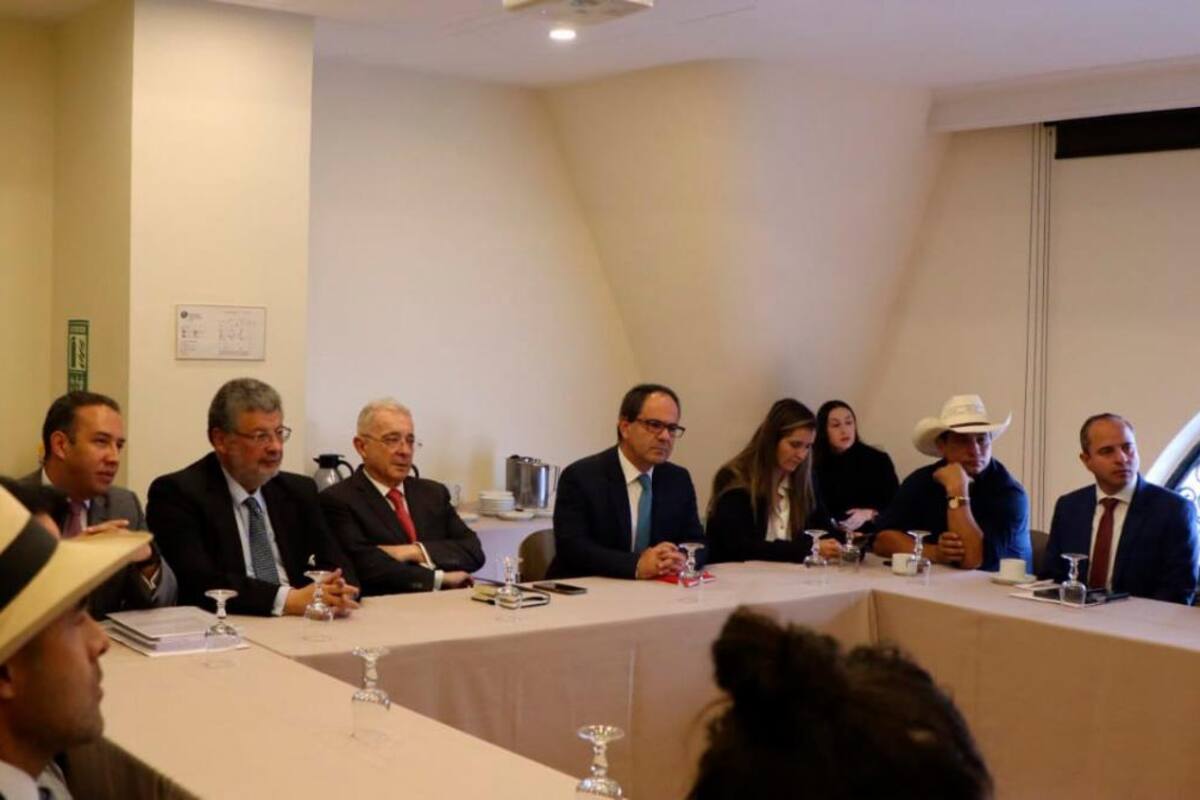 Centro Democrático expuso ante CIDH preocupaciones sobre derechos humanos y seguridad