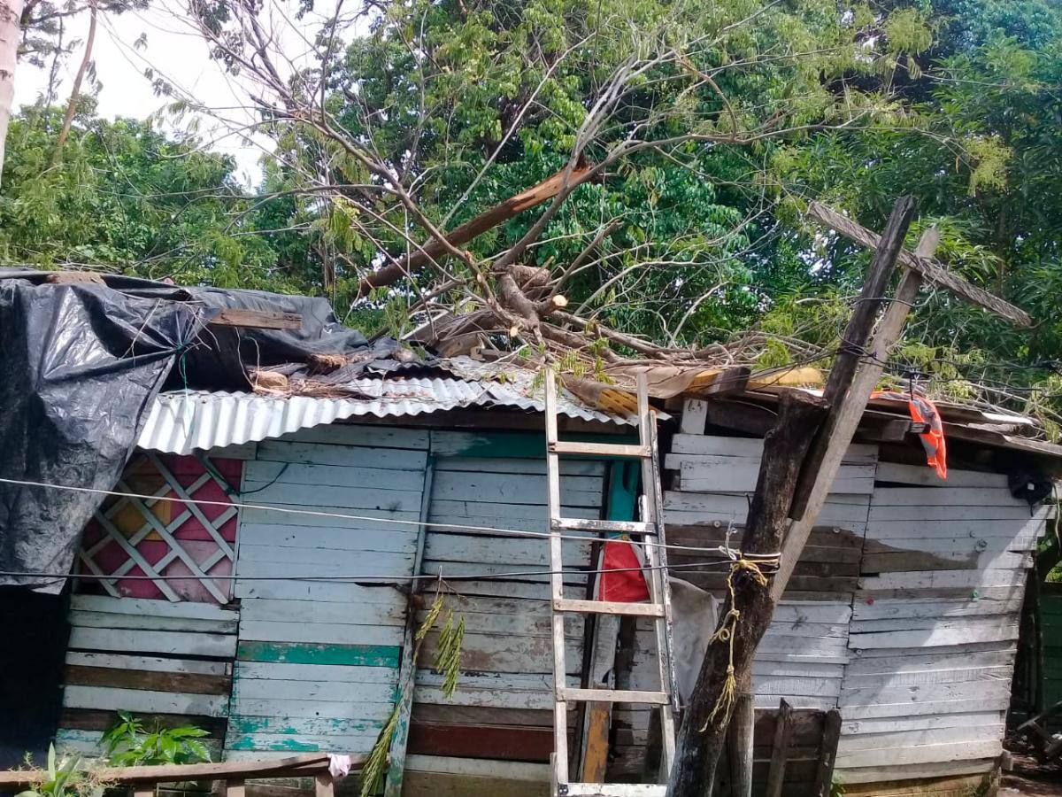 Árbol caído sobre el techo de una vivienda en Antonio José de Sucre. // CORTESÍA