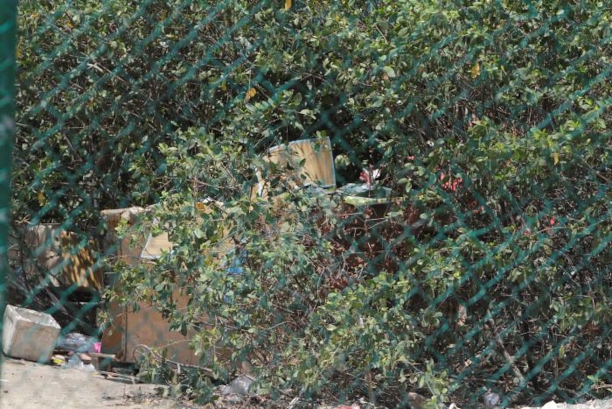 ARCHIVO EL UNIVERSAL