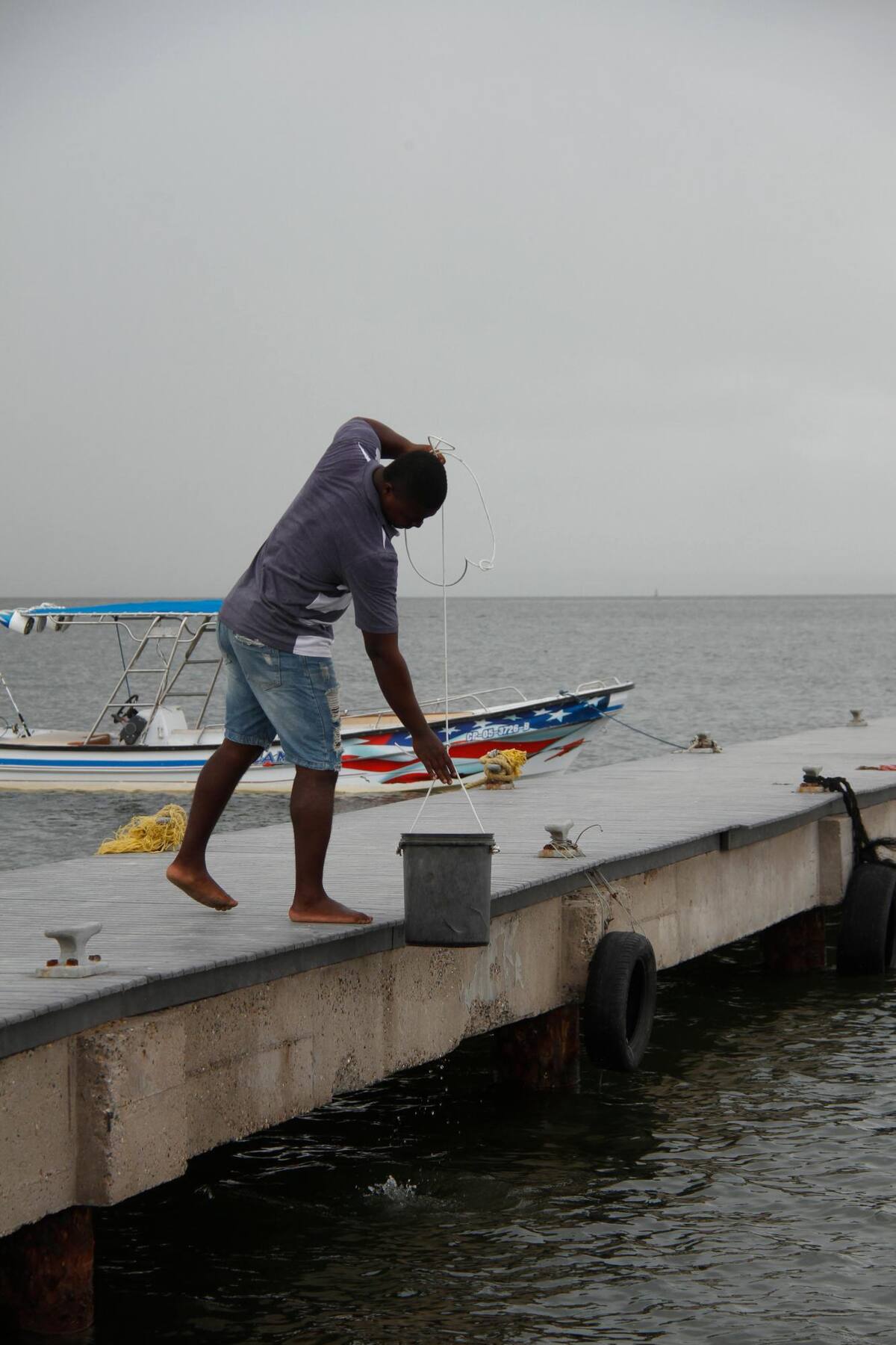Para hacer sus necesidades, buscan agua del mar. // Luis Herrán