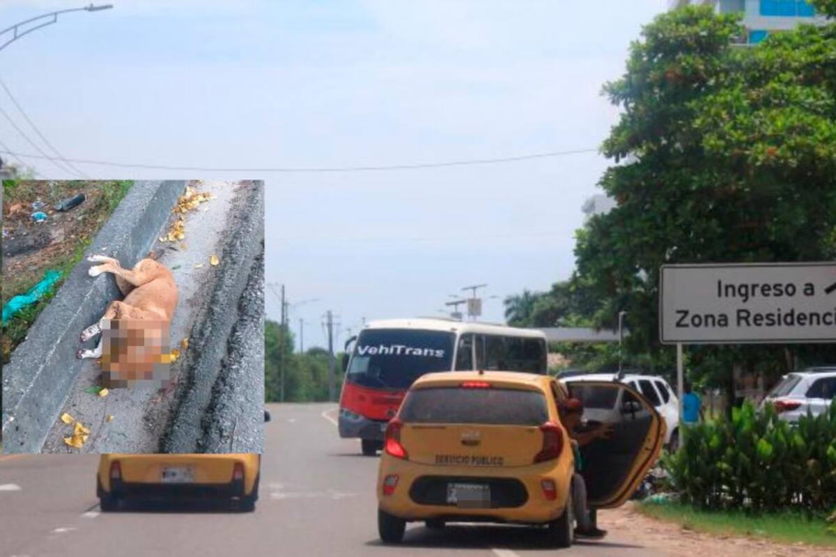 La situación no mejora: habitantes de La Boquilla denuncian accidentes en Vía del Mar