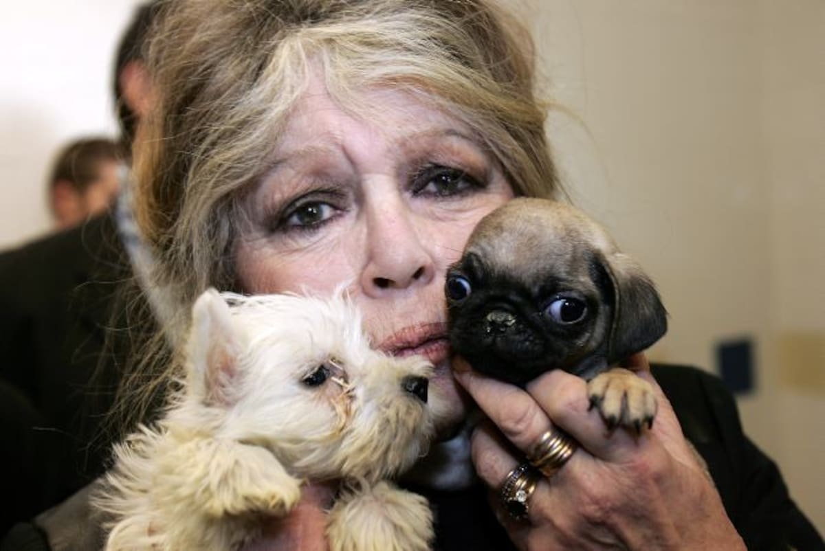 La ex actriz francesa Brigitte Bardot, en defensa de los animal AFP