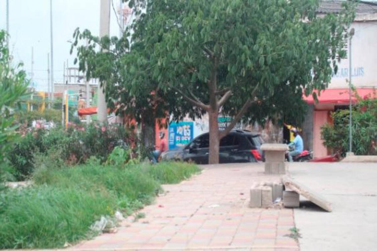 Llamado para no descuidar los parques ante la pandemia del coronavirus