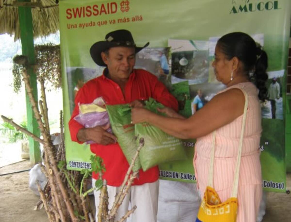 Unas 86 familias de Colosó que fueron damnificadas por el invierno del año anterior y perdieron sus cultivos y hasta sus semillas fueron beneficiadas con el programa.