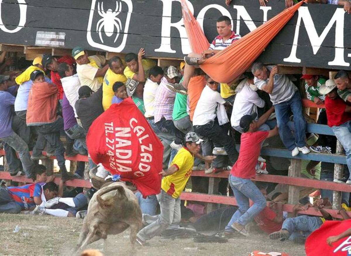 Contrario a miles de espectadores, este no vio los toros desde la barrera, sino desde su propia hamaca.