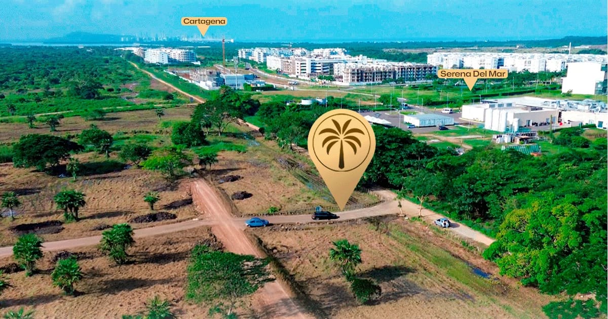 Palma de Mallorca: así es el nuevo proyecto de lotes en la zona norte de Cartagena