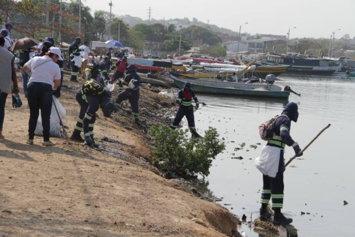 //Luis Eduardo Aparicio.