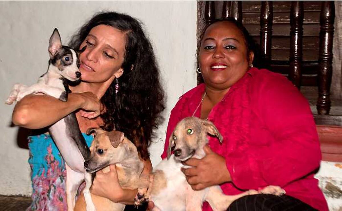 Patricia Patiño y Rosario Valiente, dos guardianas de animales en Cartagena.