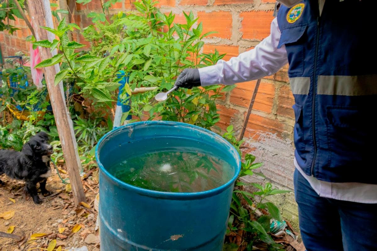 Las medidas para combatir el brote de dengue que azota a Cartagena