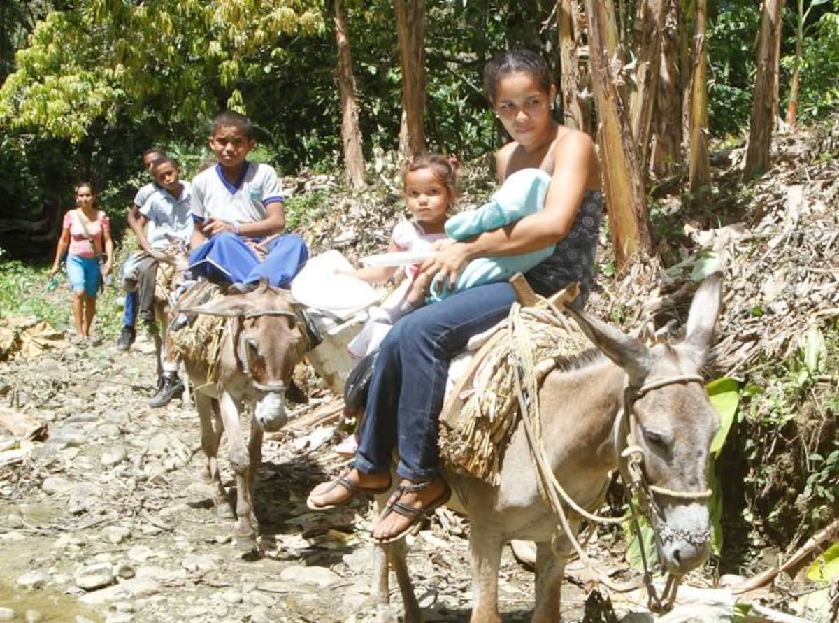 Los burros son el medio de transporte que utilizan los estudiantes para llegar a la escuela. JULIO CASTAÑO - EL UNIVERSAL