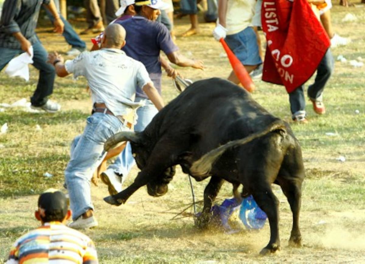 Varios corneados dejó la primera tarde de toros en Arjona.