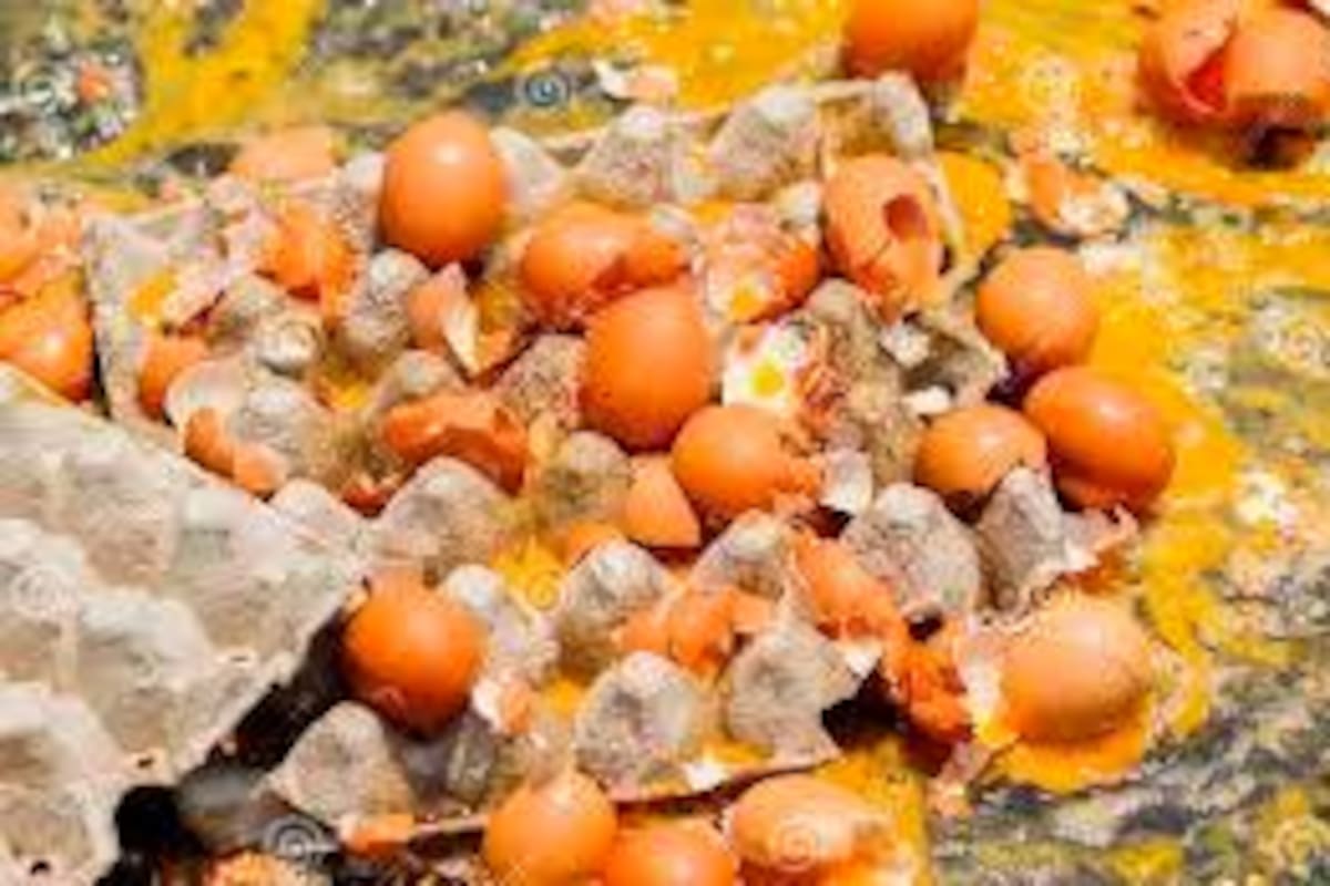 (Fotos) Conductor de furgón cargado con huevos se volcó, en Bolívar