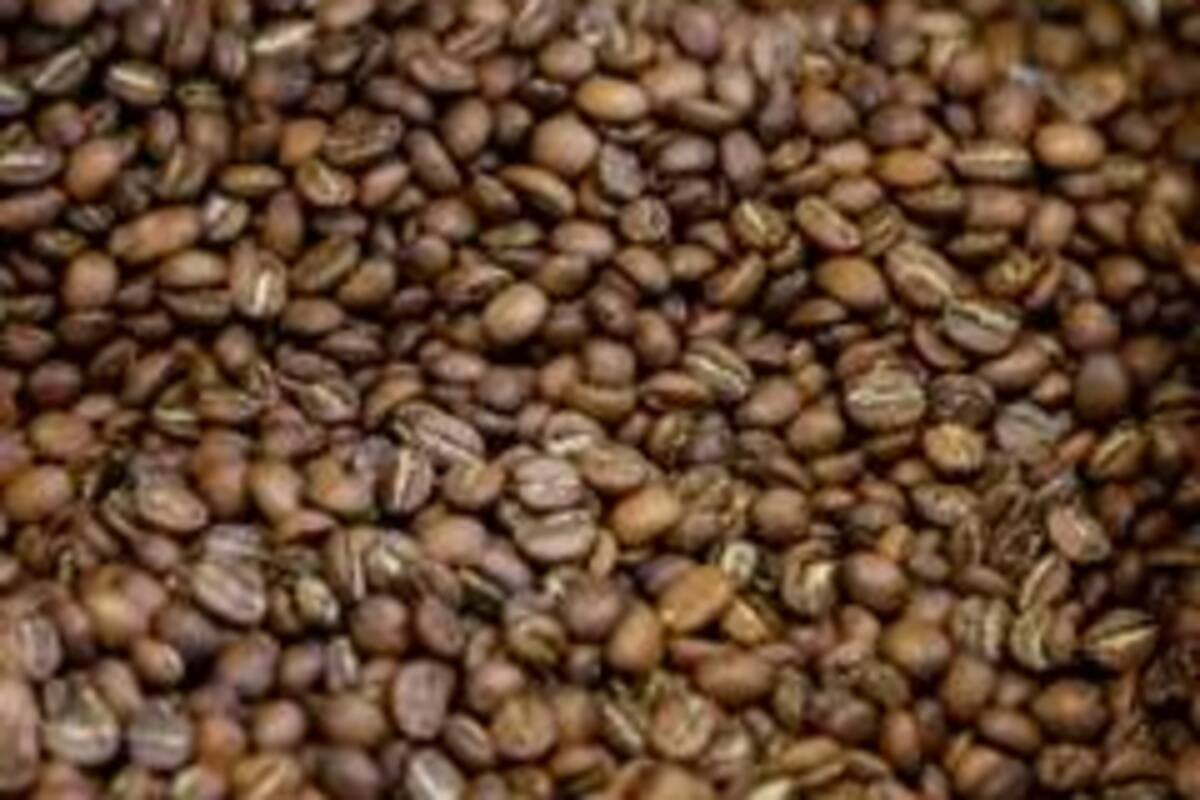 Producción de café colombiano creció un 25% en noviembre
