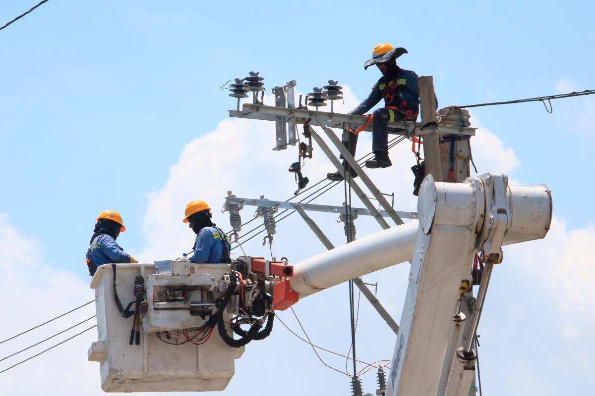 Afinia ejecuta plan de recuperación de pérdidas en la región Caribe