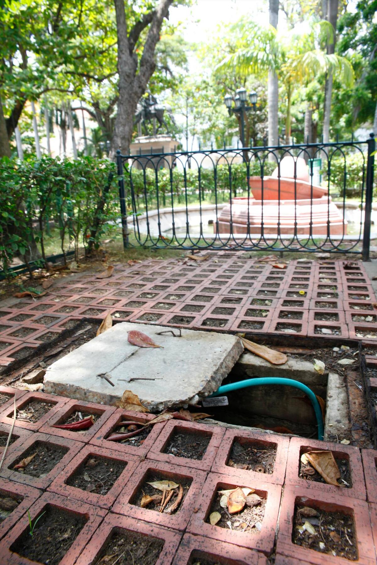 Muchas zonas del parque se encuentran en este estado.