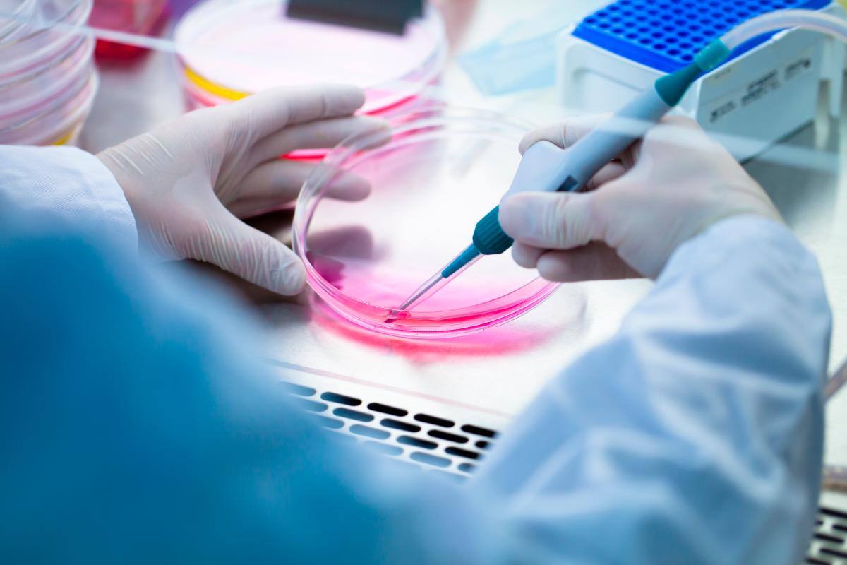 ¿El chocolate puede provocar salmonela?