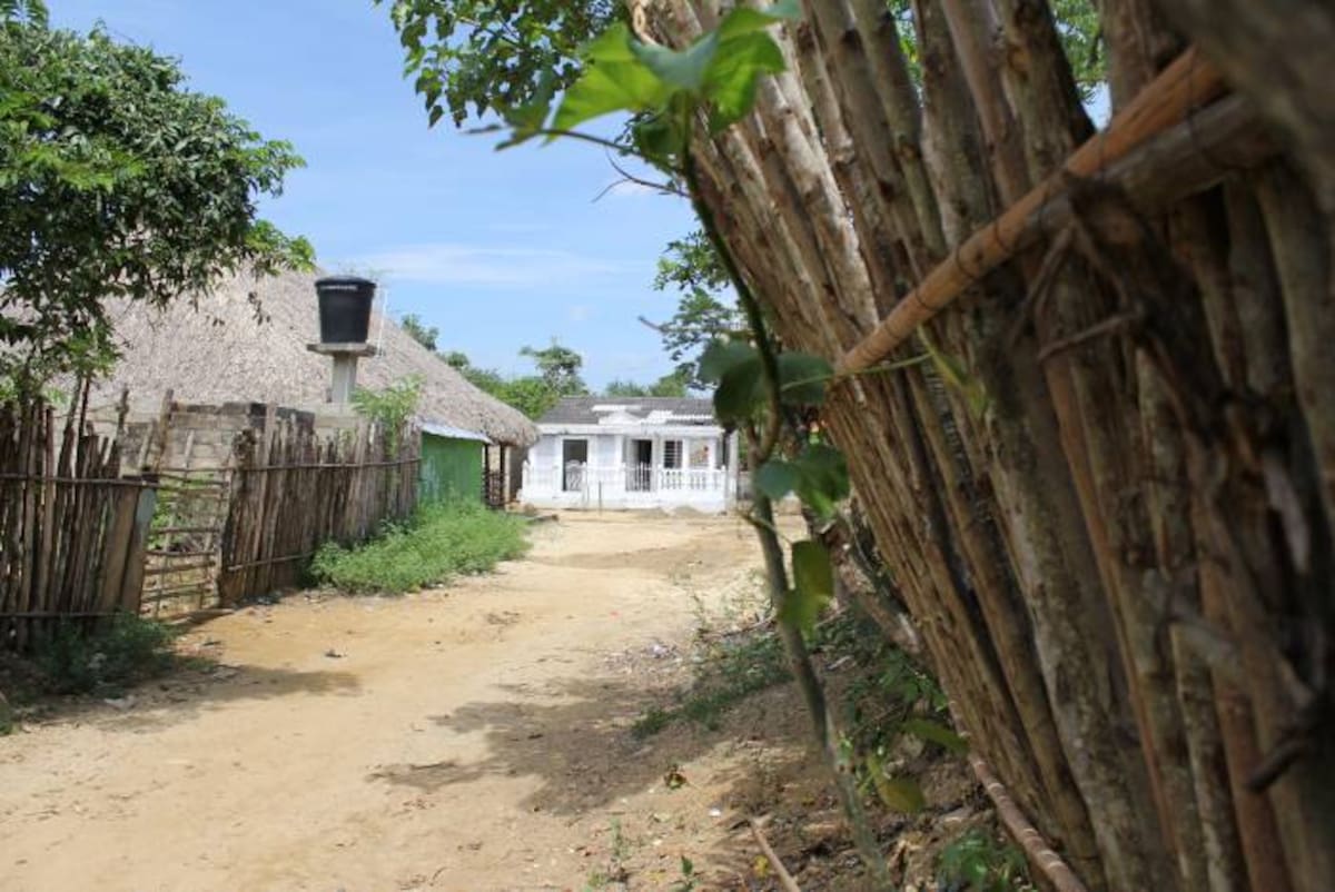 Según una encuesta del Sisben, expuesta como razón dentro del Proyecto de Ley, el 50,1% de la población de San Basilio de Palenque vive en pobreza extrema. ARCHIVO