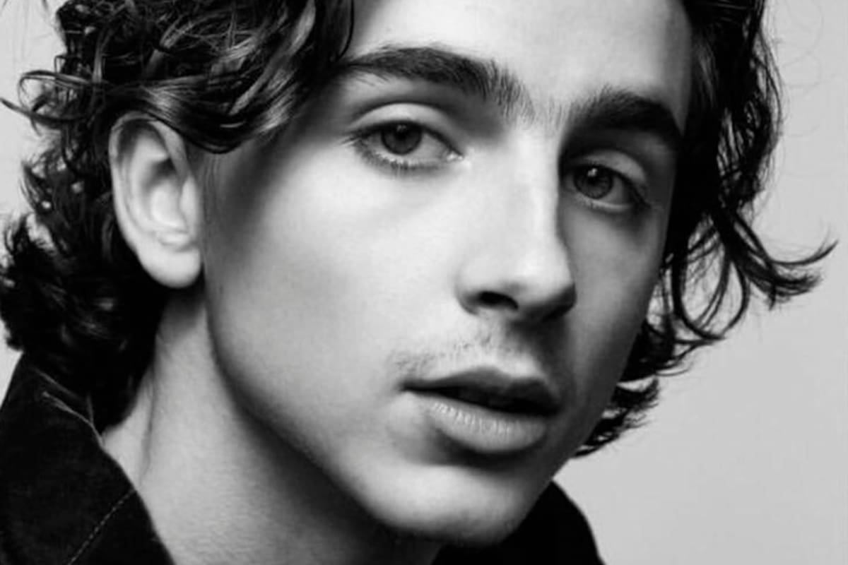 Timothée Chalamet, el hombre más bello del mundo por TC Candler