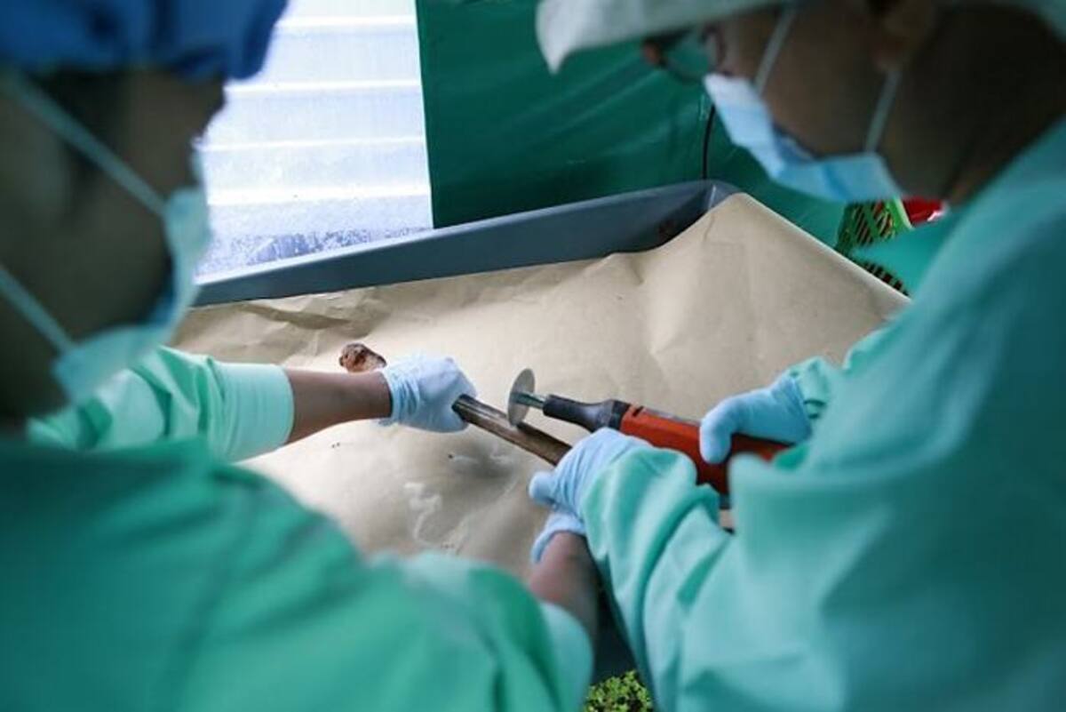 274 cuerpos entre los cementerios de Bocas de Satinga (Nariño), La Plata (Huila); de Cimitarra (Santander) y en Yarumal, han sido recuperados. //Colprensa.