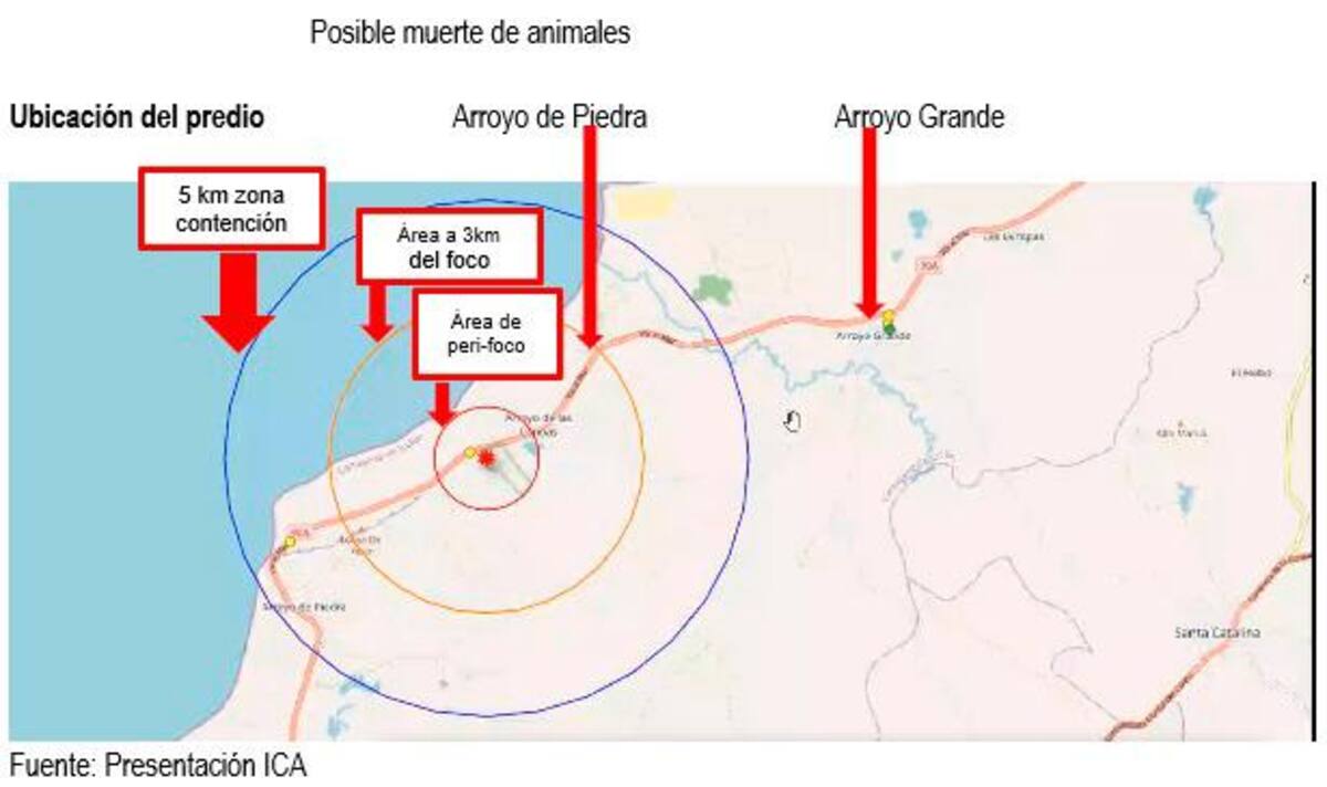 Ubicación del predio dónde se presentó el caso de fiebre aviar. // Foto: Cortesía