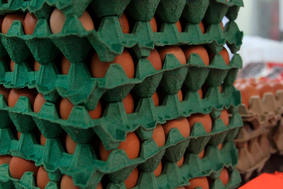 Como nunca antes el huevo registró precios impensables.