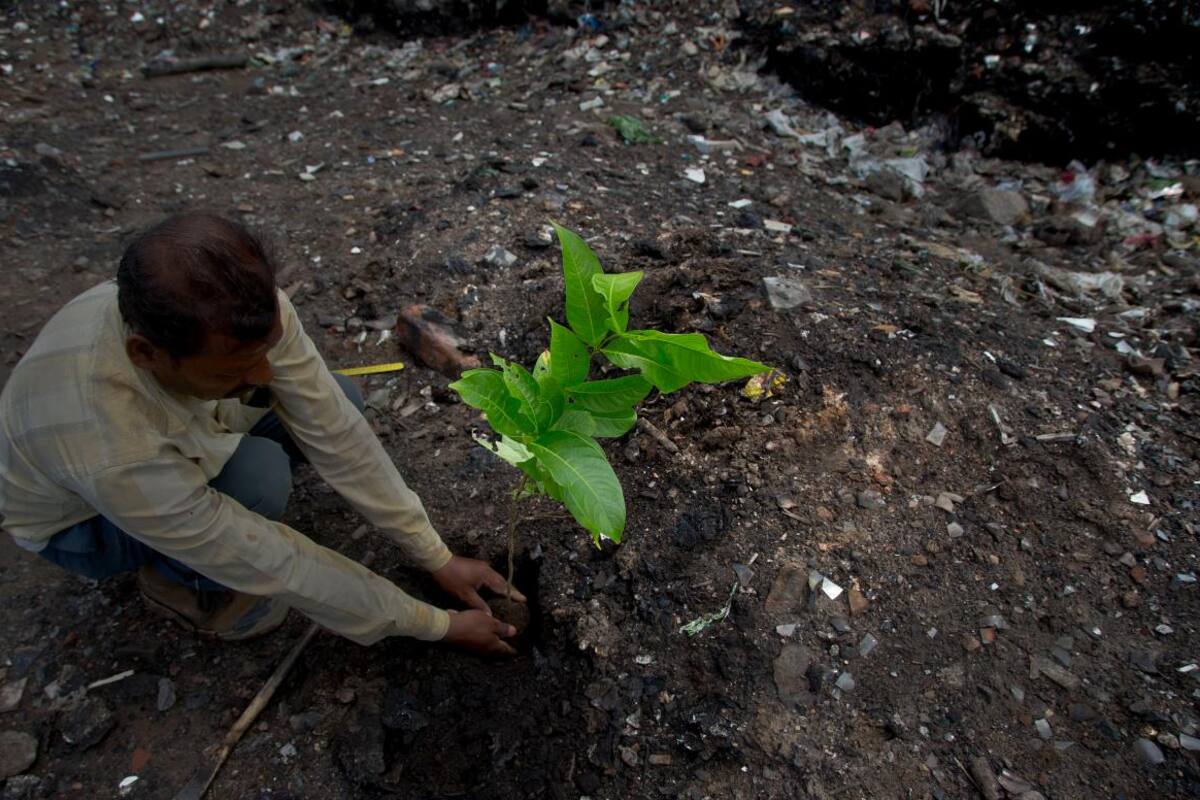 En el Día del Medio Ambiente, millones en el mundo exigen a los gobiernos respirar un aire más limpio