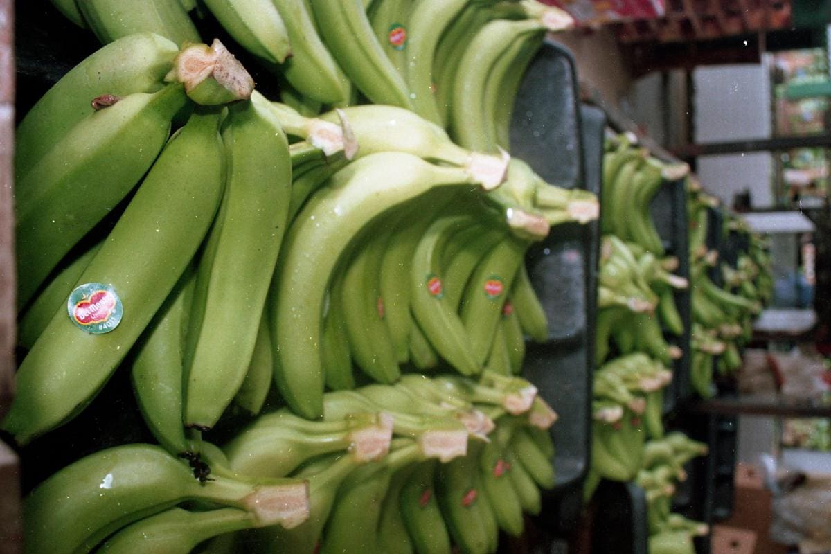 Bananeros de Urabá, en alerta por caso de COVID-19
