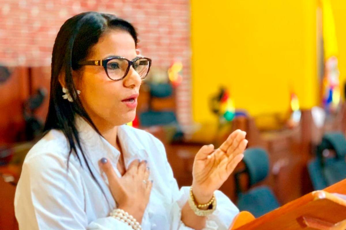Diana Martínez Berrocal invitó en el Concejo a apaciguar mentes y corazones