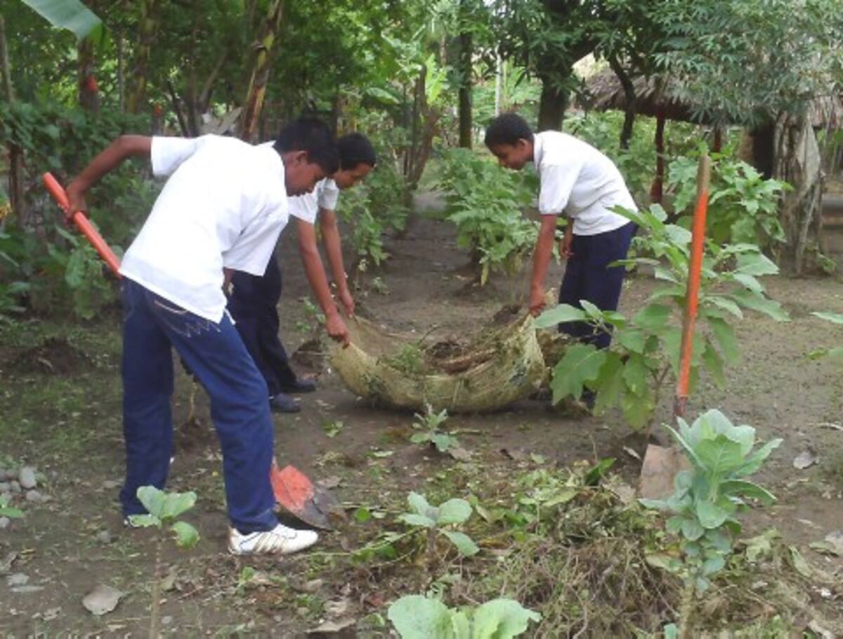 Las hortalizas son cuidadas celosamente y cultivadas por los estudiantes del Cañito en los patios productivos.