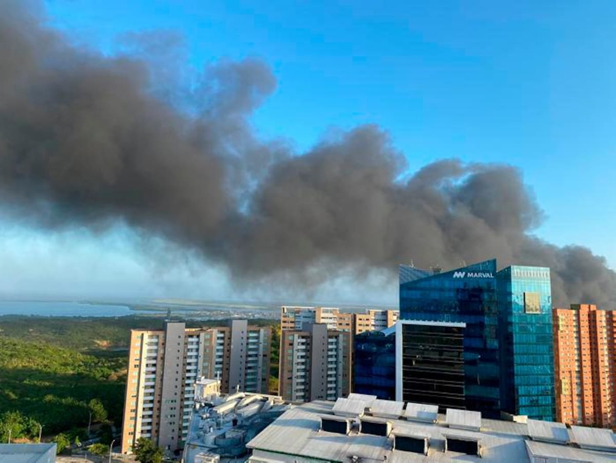 El humo se ha extendido a gran parte de la ciudad. //Cortesía.