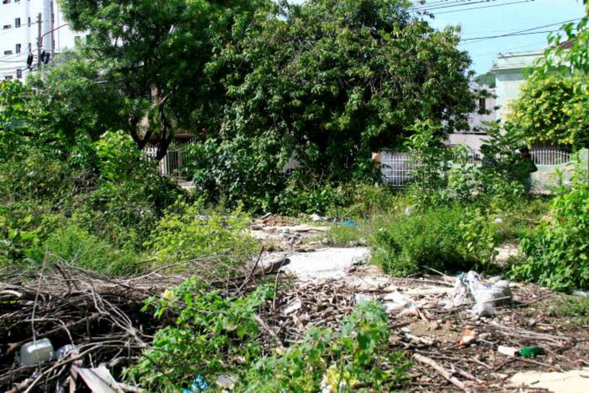 El solar que se encuentra en una de las calles principales de este barrio, está lleno de basuras y maleza. DAGOBERTO CABARCAS