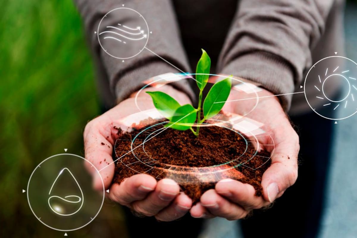 Este día se agotarán los recursos de la tierra del 2023