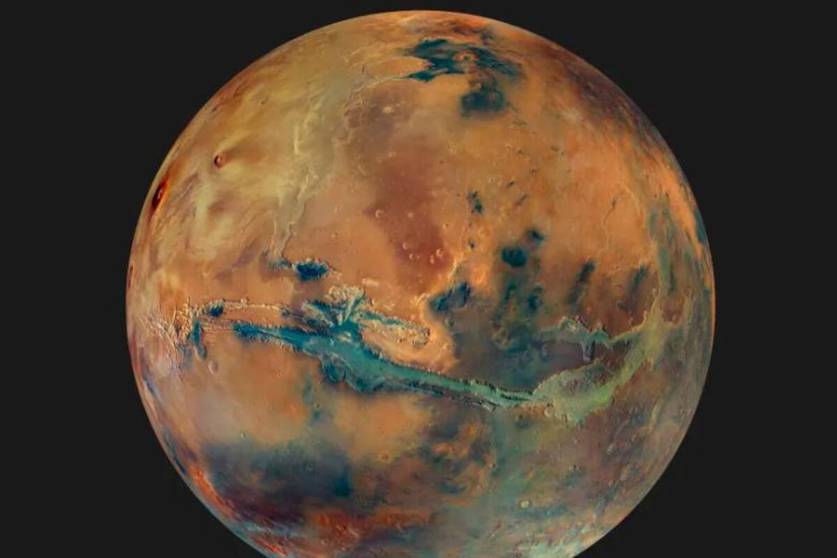 La clave para colonizar Marte está en la mata o el árbol más cercano