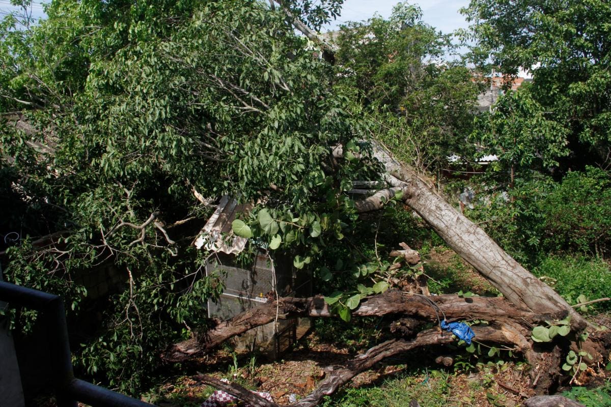 Destrucción de vivienda en Escallón Villa, una de las principales afectaciones del aguacero