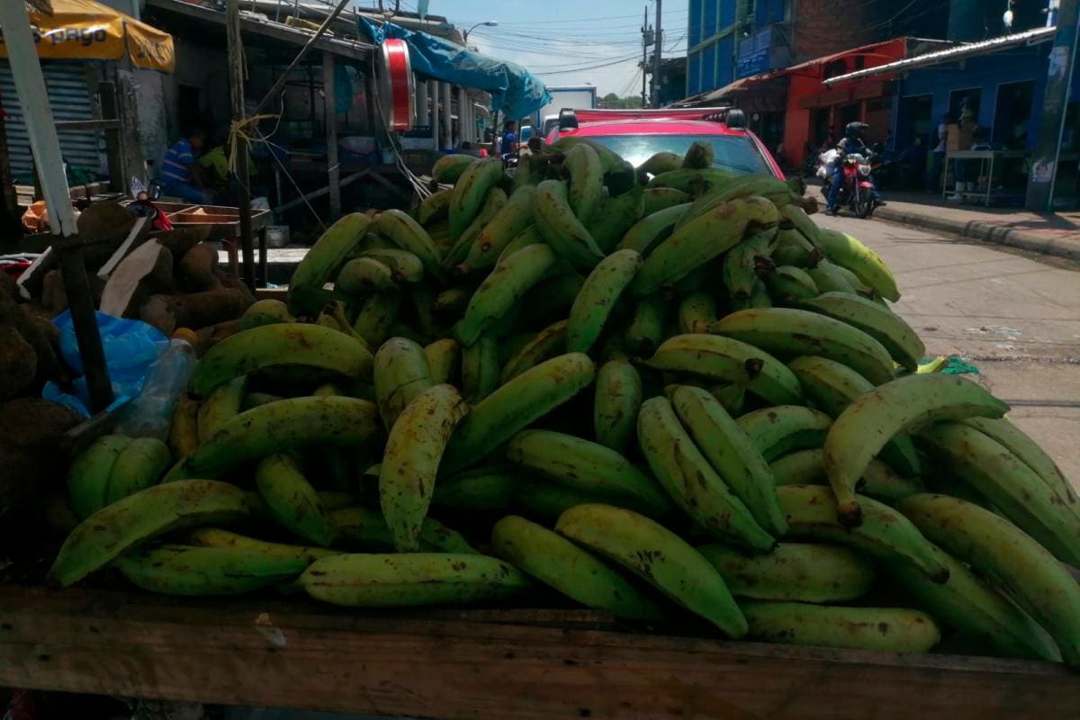 Paro armado disparó precios del plátano, el tomate y la cebolla