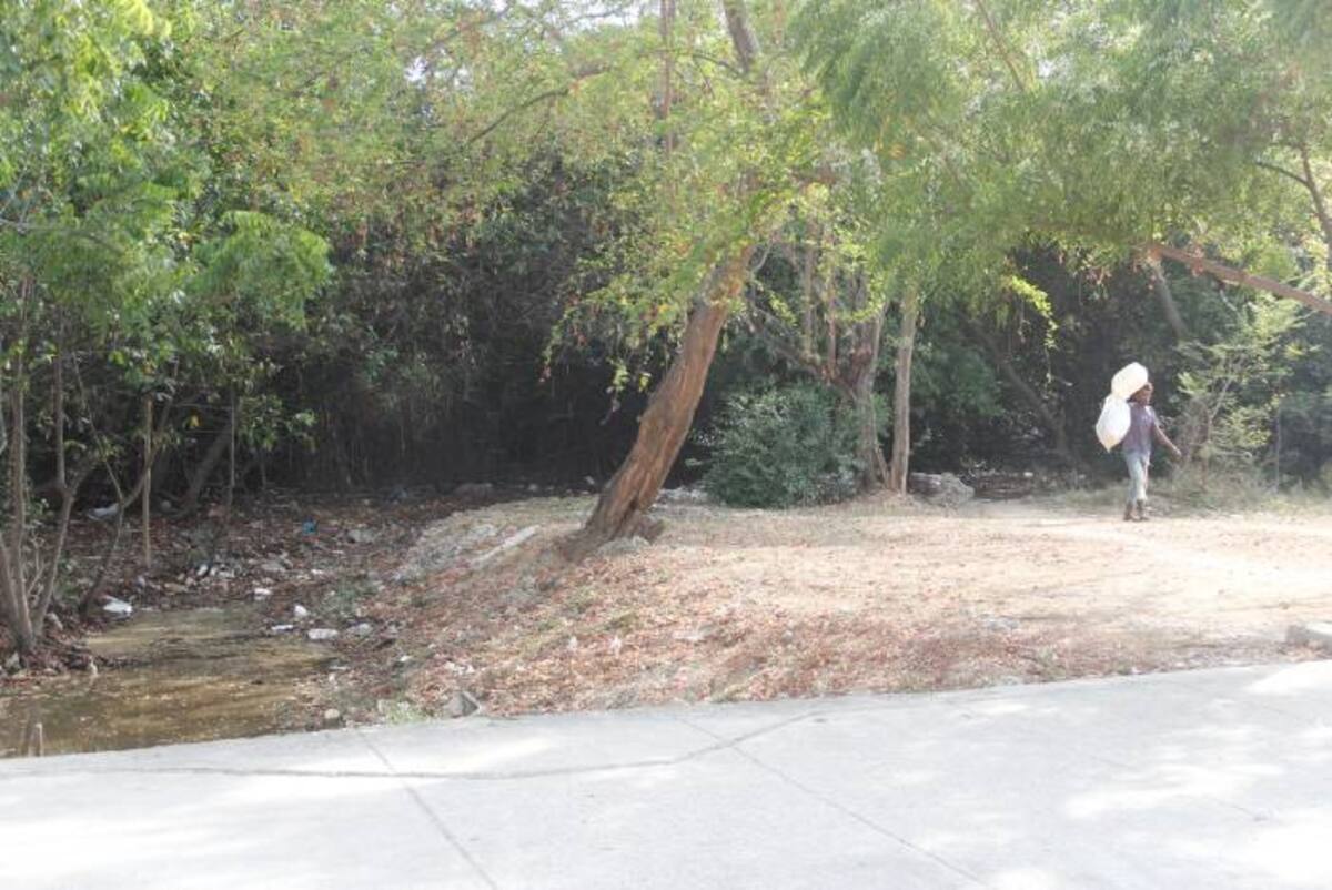 Avenida del Lago ÁLVARO CÁRCAMO OYAGA.