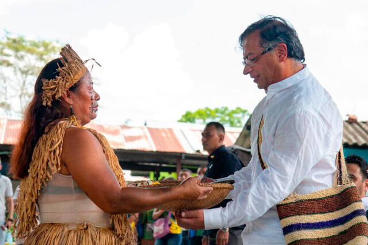 “Solicito la captura de los grandes depredadores de la Amazonía”: Petro