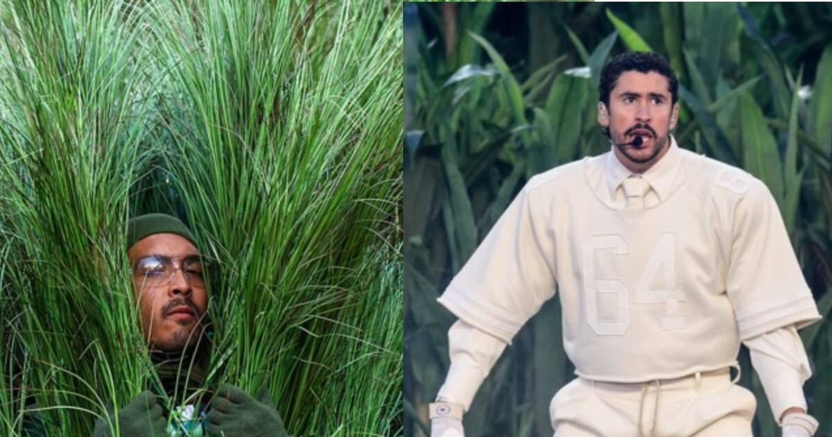 Revealed: How Much the 'Living Bush' Performers at the Super Bowl Were Paid