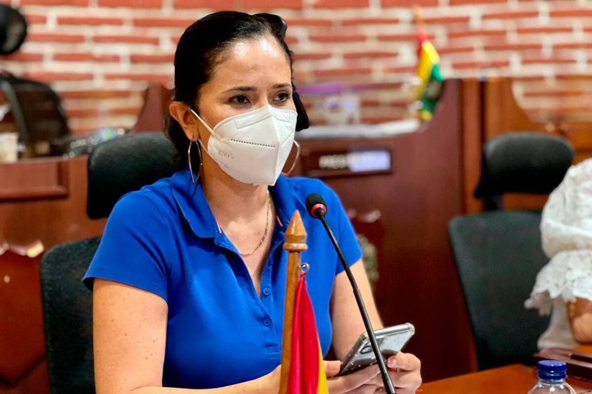 Los 5 proyectos que presentó la Secretaria de Hacienda ante el Concejo