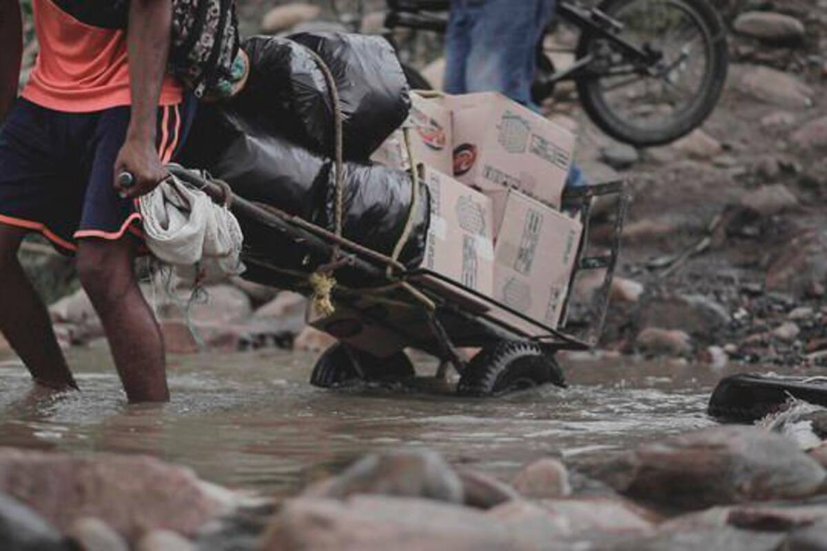 Clan del Golfo obtendría millones de dólares por migrantes en el Darién