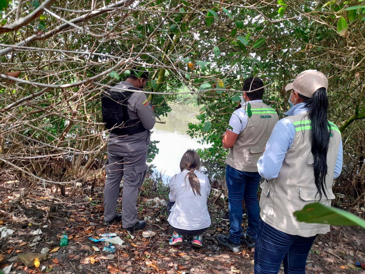 Esta inspección se realiza con el fin de conocer qué zonas se encuentran ambientalmente afectadas. // Cortesía.