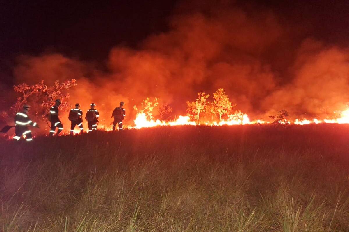 Las Fuerzas Militares reportan que lograron controlar el incendio de Vichada