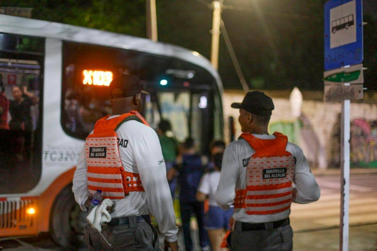 Brigada Cívica: nueva estrategia de seguridad que busca aprobación en el Concejo