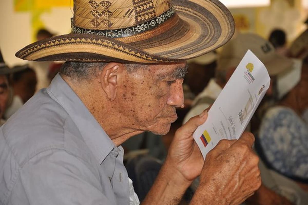 Según la Unesco, una ciudad debe tener una tasa de analfabetismo de menos del 4% para ser declarada con esta mención. COLPRENSA