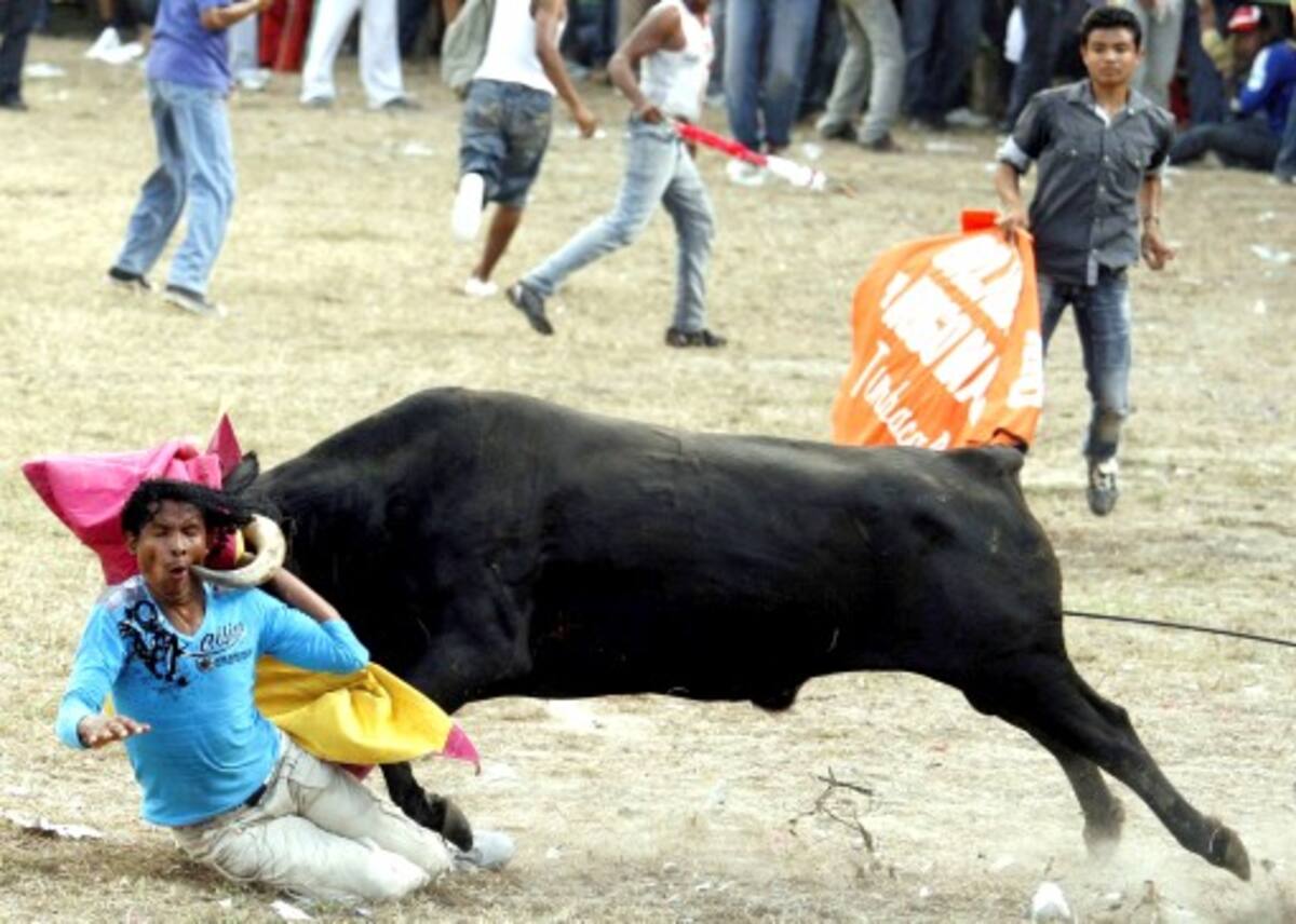 “Toros de Miedo”, fotografía con la que ganó el reportero gráfico Manuel Santiago Pérez. Manuel Santiago Pérez