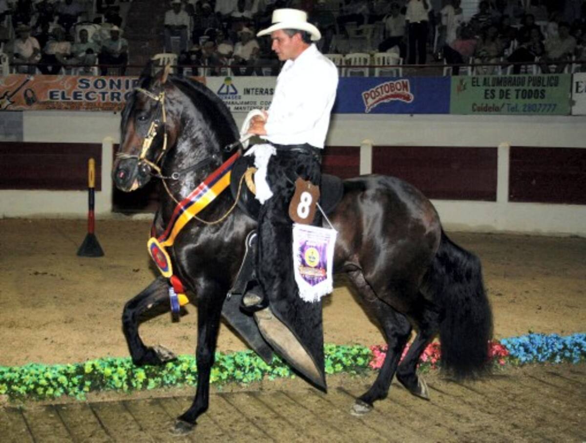 Gran Campeón Trote y Galope “Novedoso”, montador Carlos Mario Mejía.
