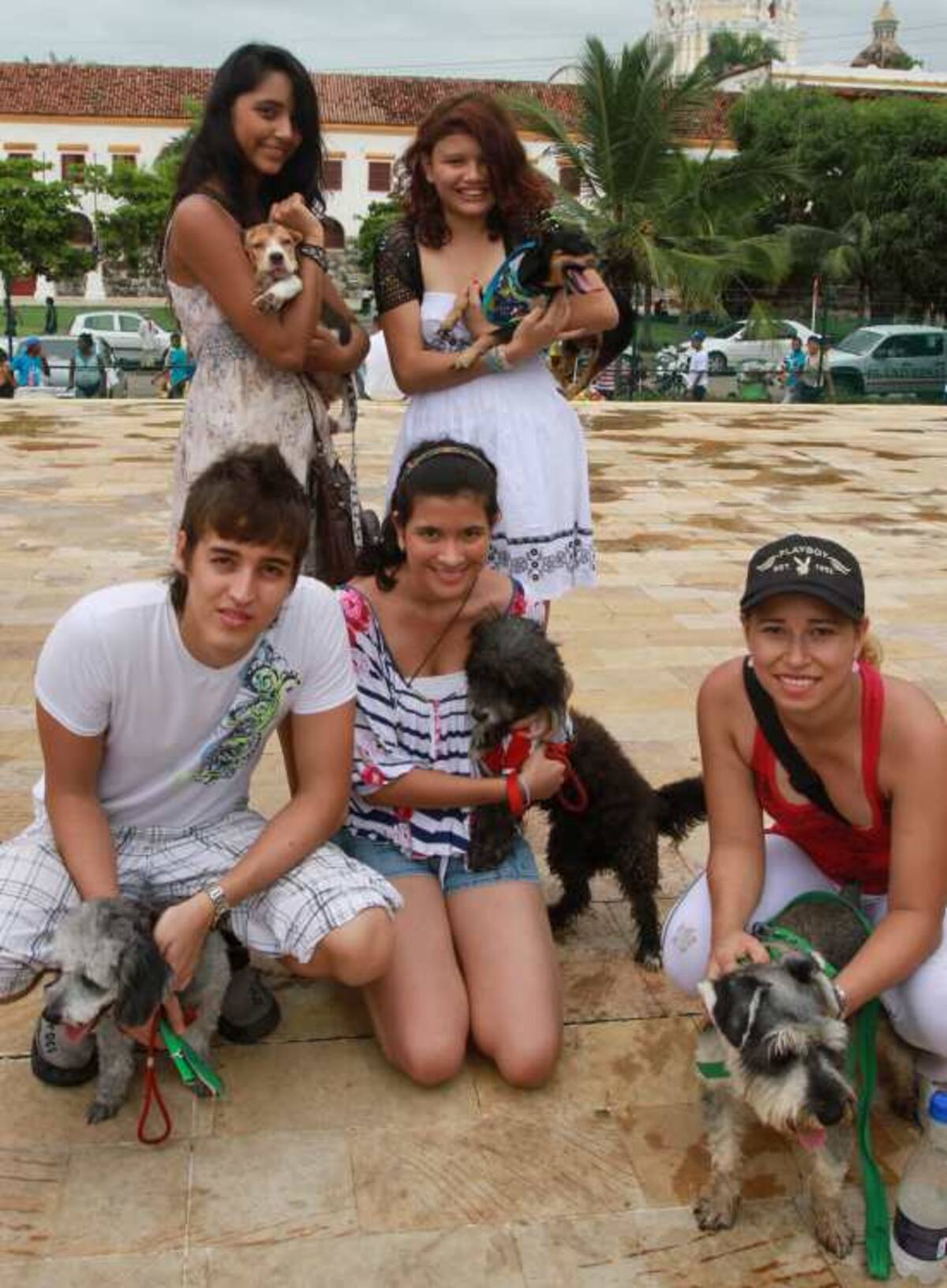 Arriba: Katy Gómez, con Lía y Andrea Llanos con Flaquis; Abajo Andrés Sandoval con Tomy; Deyna Luchetta con Dexter y Mary Rodríguez con Bella.