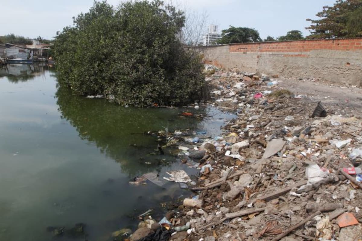 El caño Juan Angola es uno en los que se han detectado rellenos con escombros. Archivo El Universal