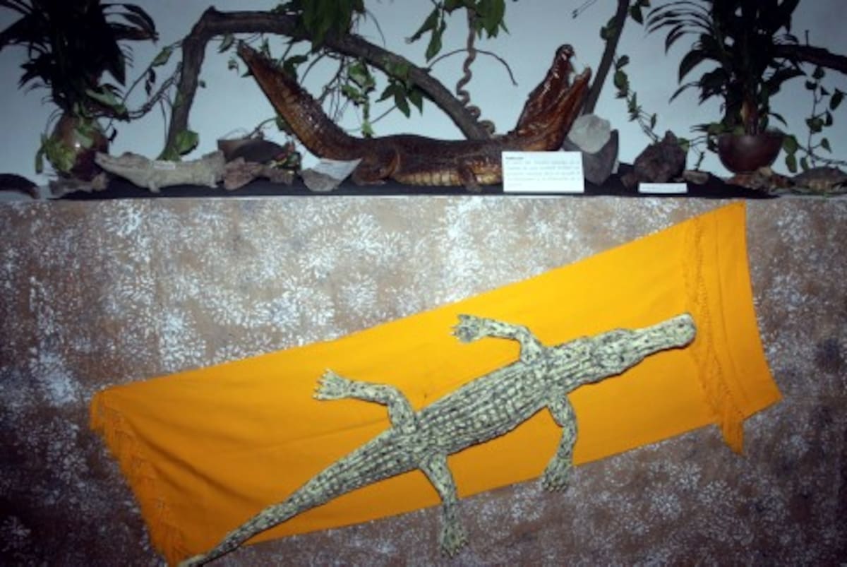 Ciénaga grande del Sinú.